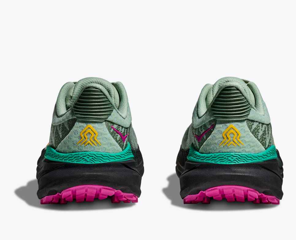 Challenger 7 Aloe Vera / Black