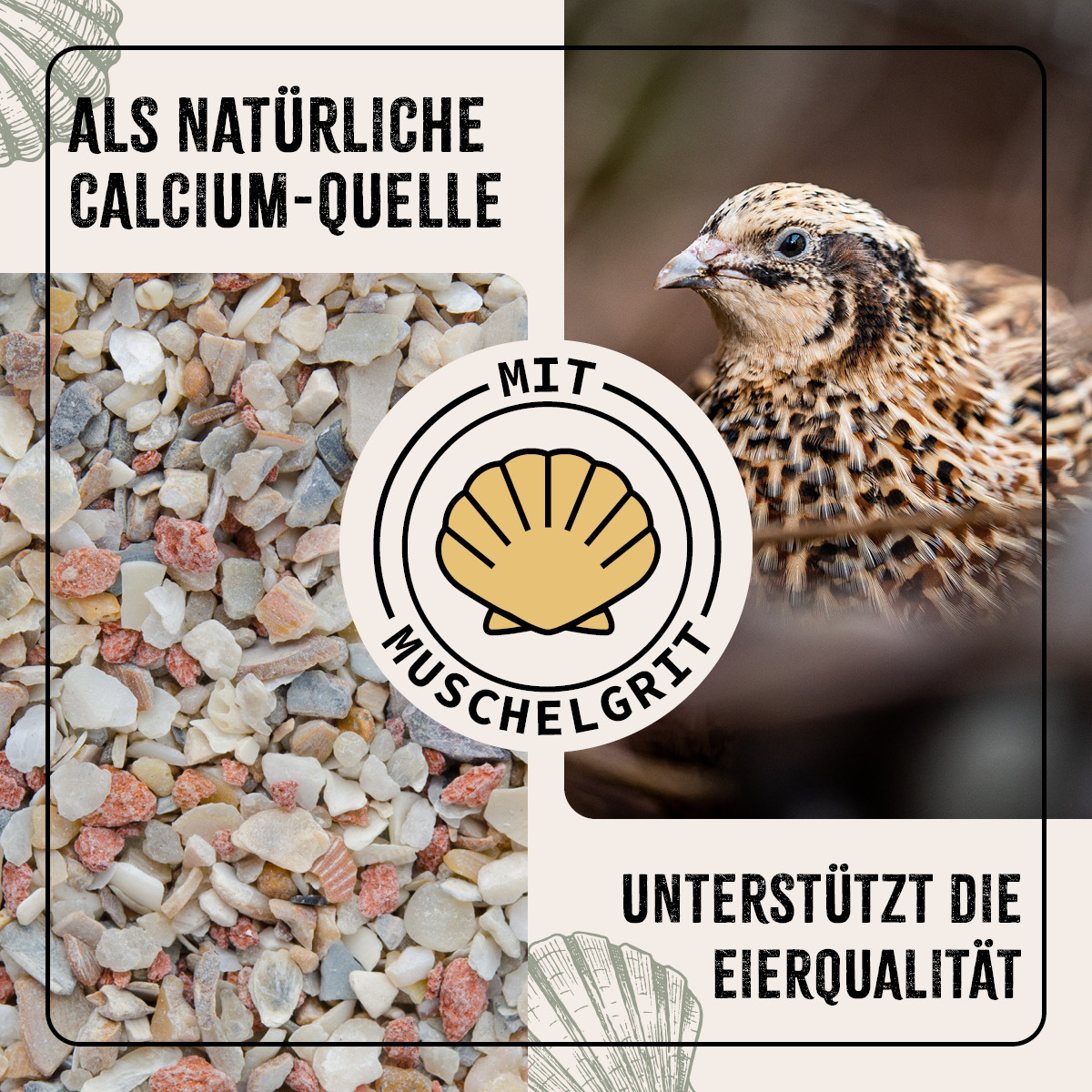 Aniforte Futter & Heu Aniforte FarmLife Wachtel Futter Müsli 10 kg