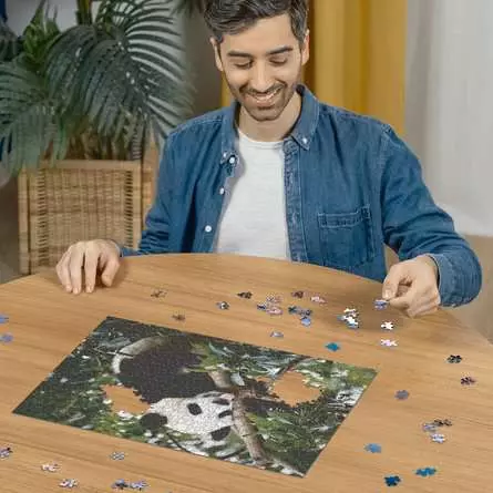 Puzzle 500 Teile - Pandabär