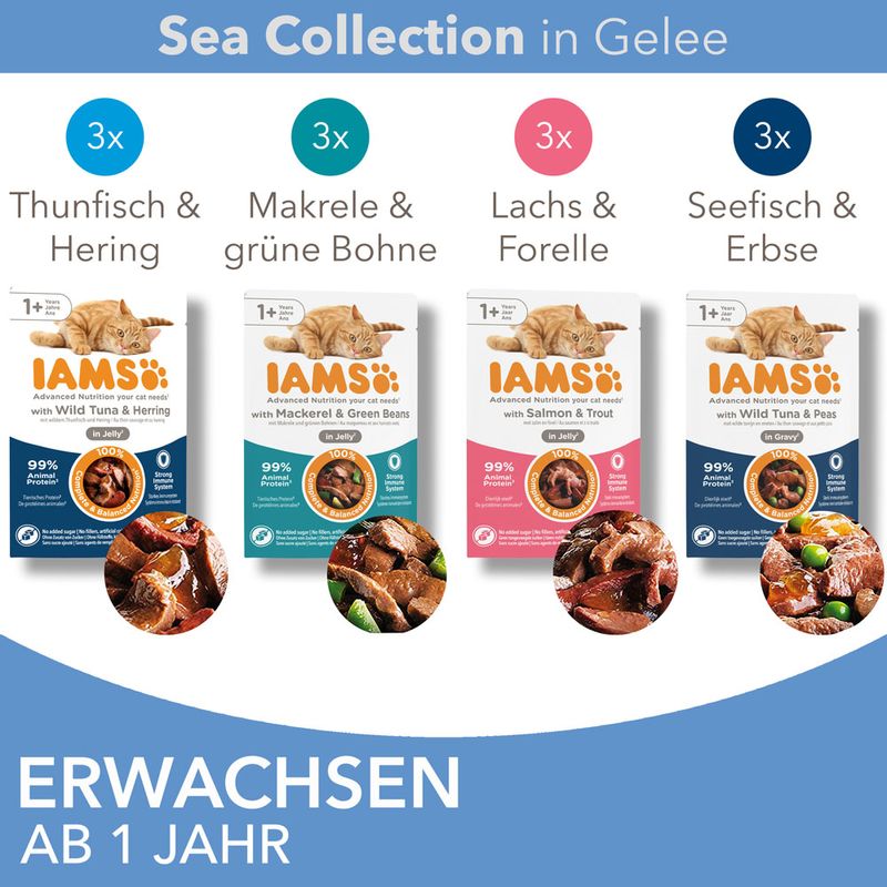 IAMS Advanced Nutrition Adult Sea Mix zu TOP-Preisen