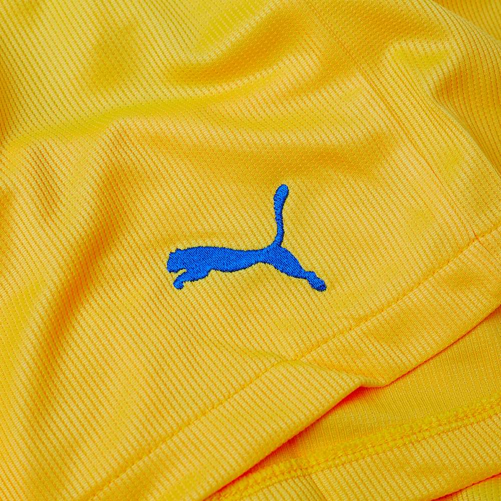 PUMA Vencida Herren Shorts 700789-28