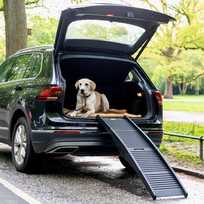 HAFENBANDE Kunststoffhunderampe Champ