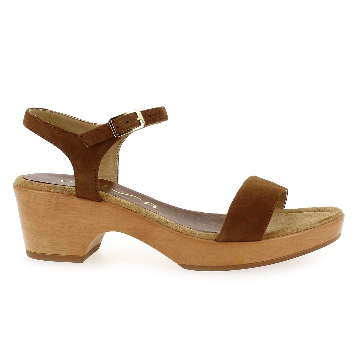 Unisa  IRITA - Camel