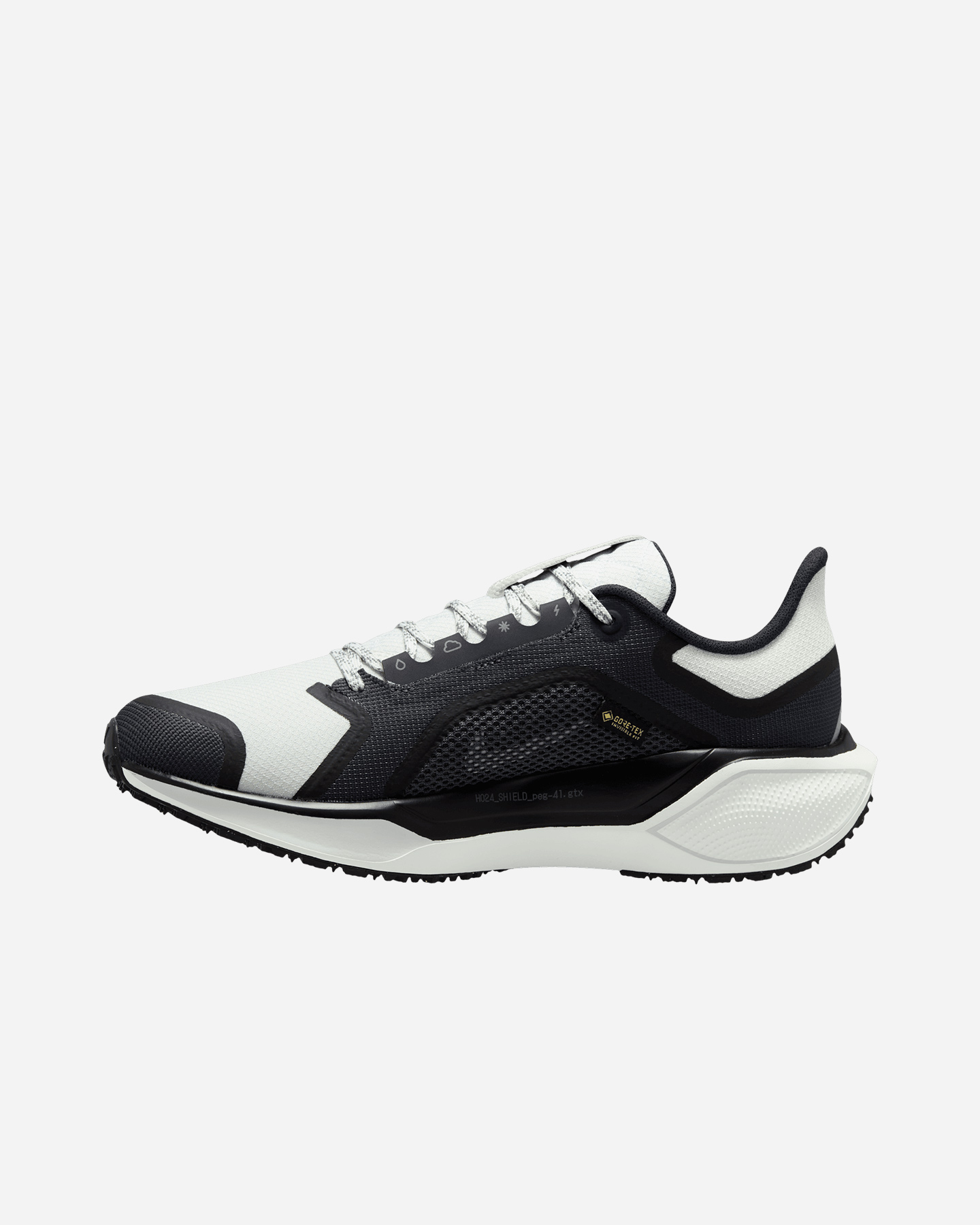 Bežecké topánky Nike Pegasus 41 Gore Tex W FQ1357-002