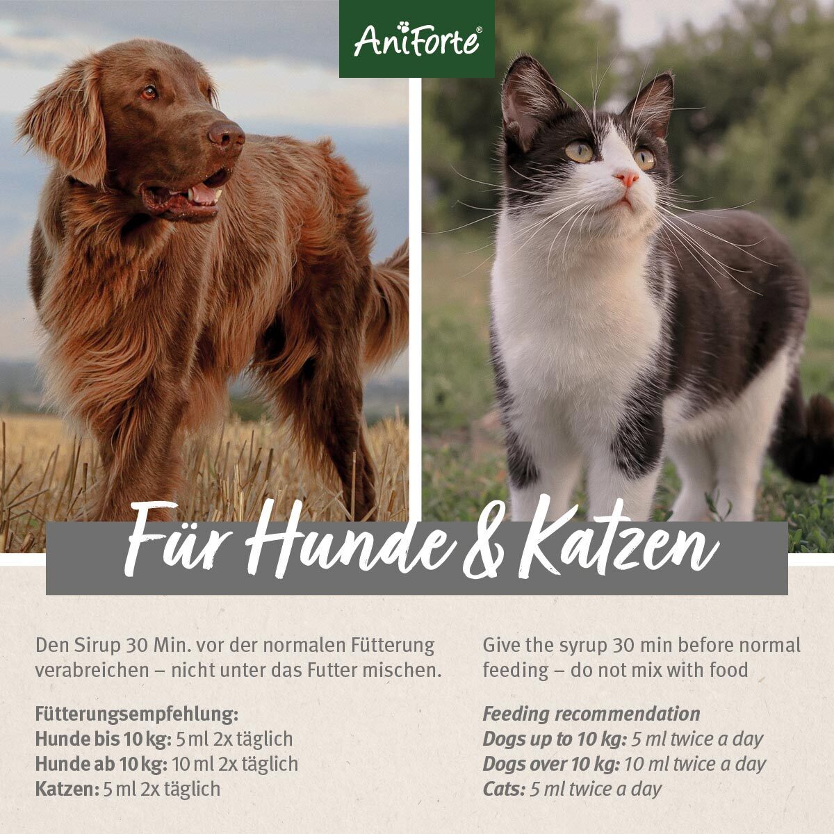 Aniforte Ergänzungsfutter & Aufzucht Aniforte Ulmenrinde 100 g