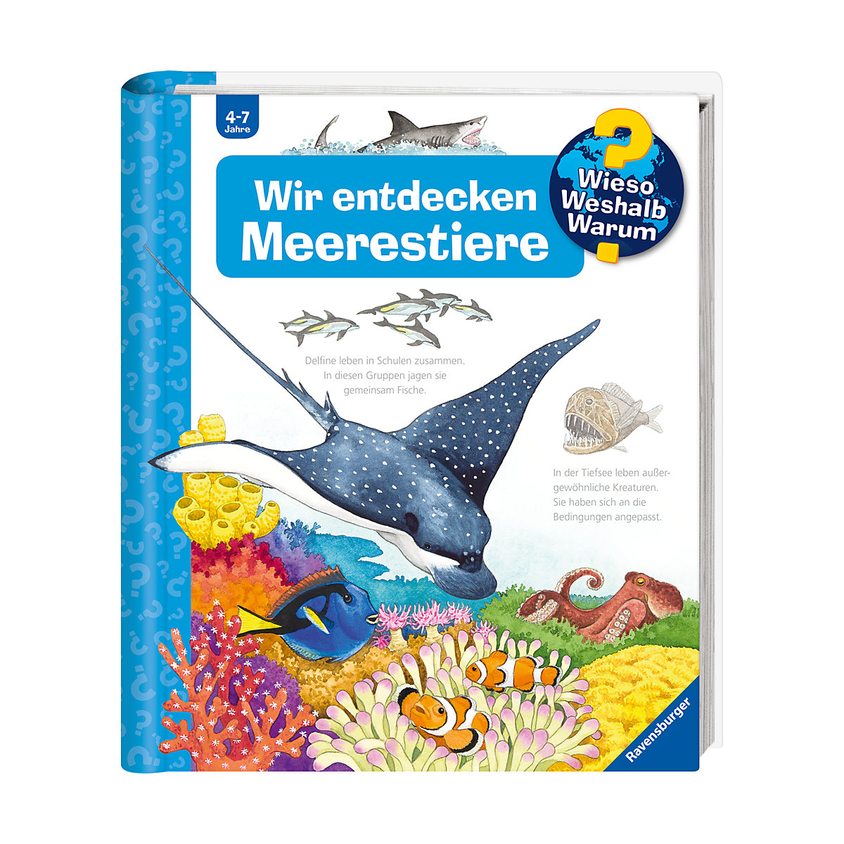 WWW Wir entdecken Meerestiere