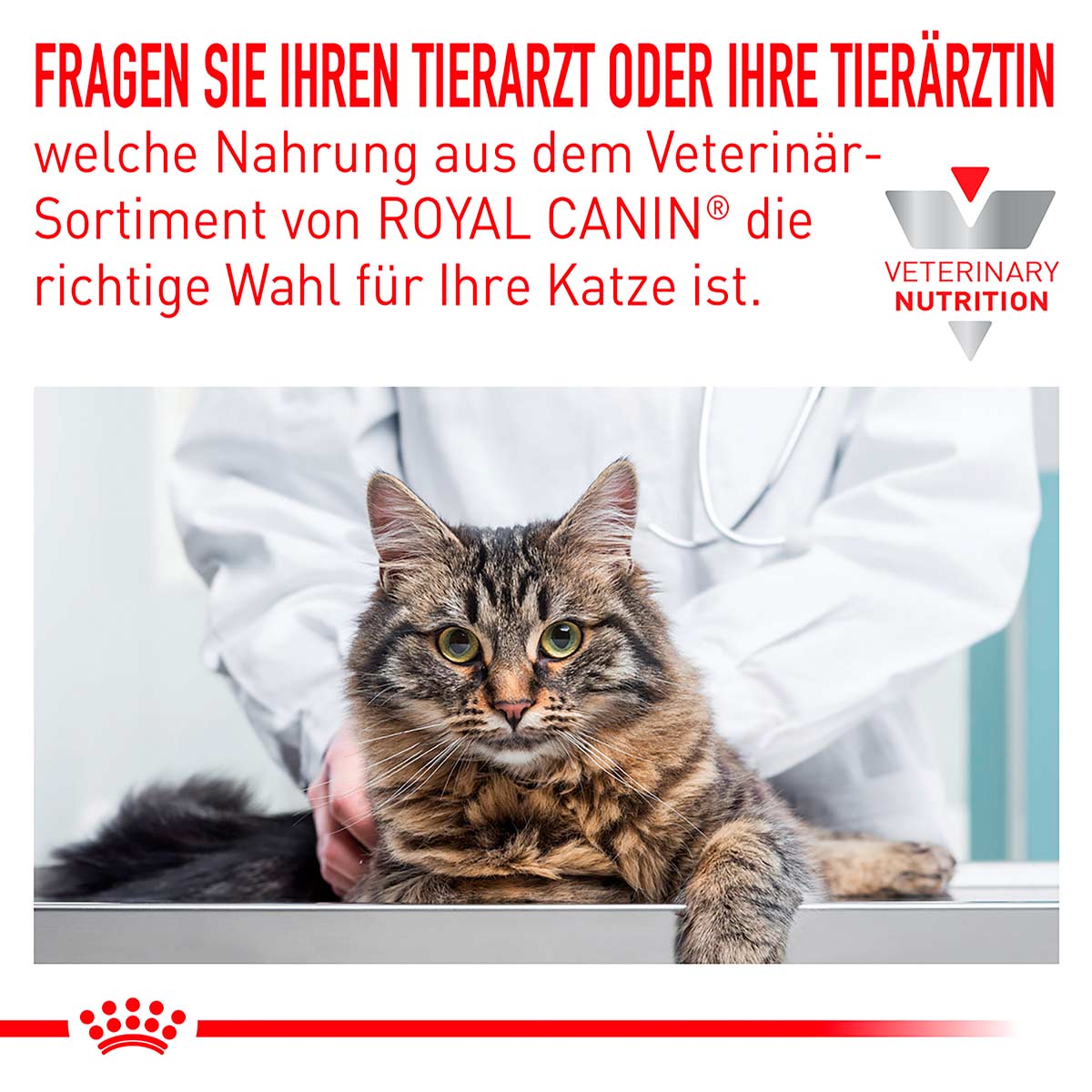 ROYAL CANIN Veterinary SKIN & COAT Nassfutter für Katzen 12x85g