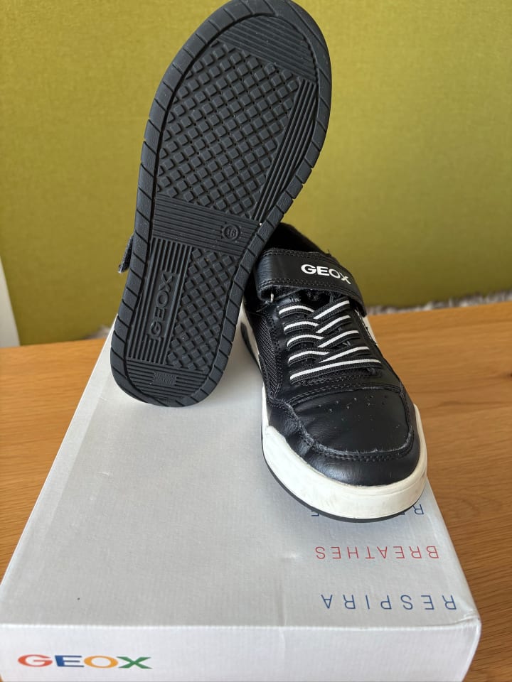 Geox Sneakers 