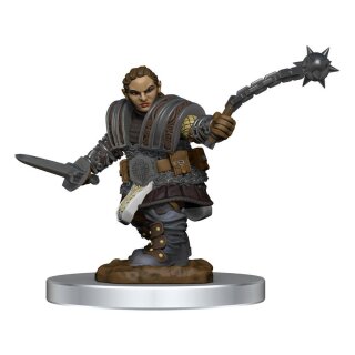 D&D Nolzur's Marvelous Miniatures Miniatur unbemalt Dwarf Fighter Female (2)