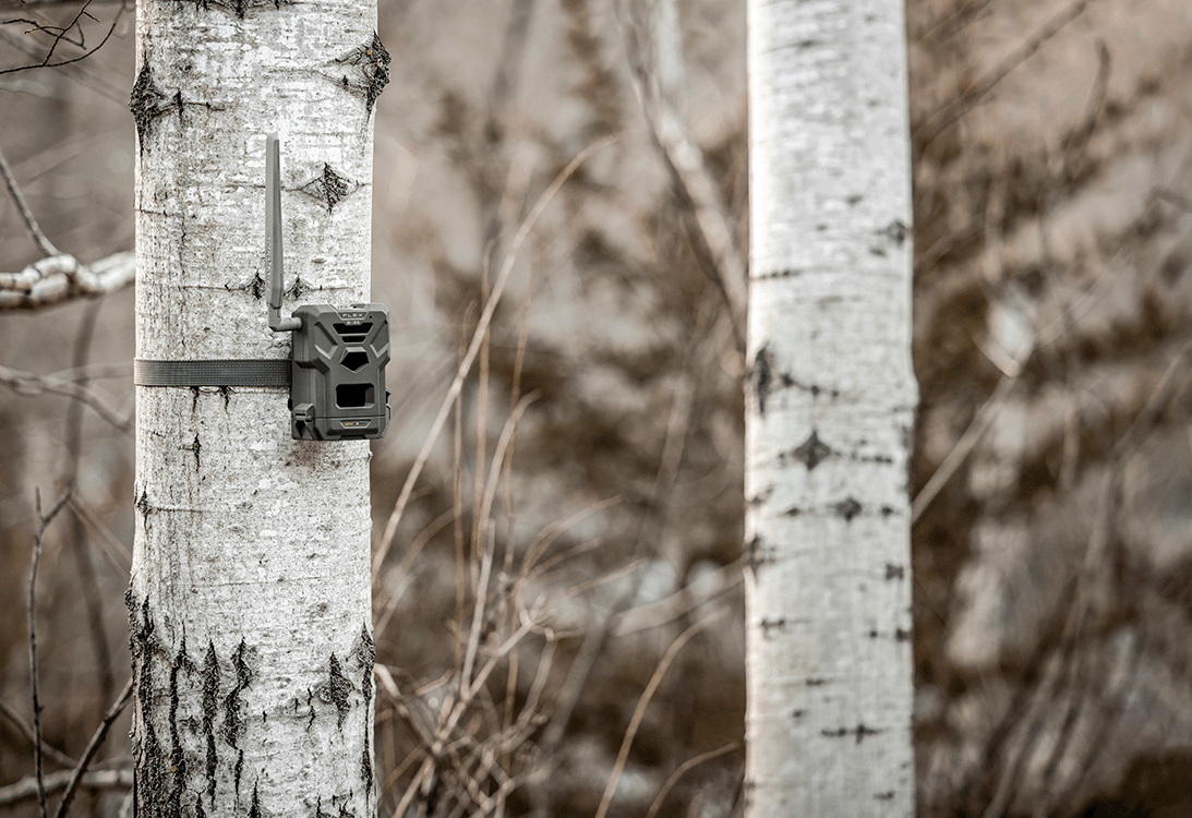 Spypoint SPYPOINT FLEX E-36 Twin Pack