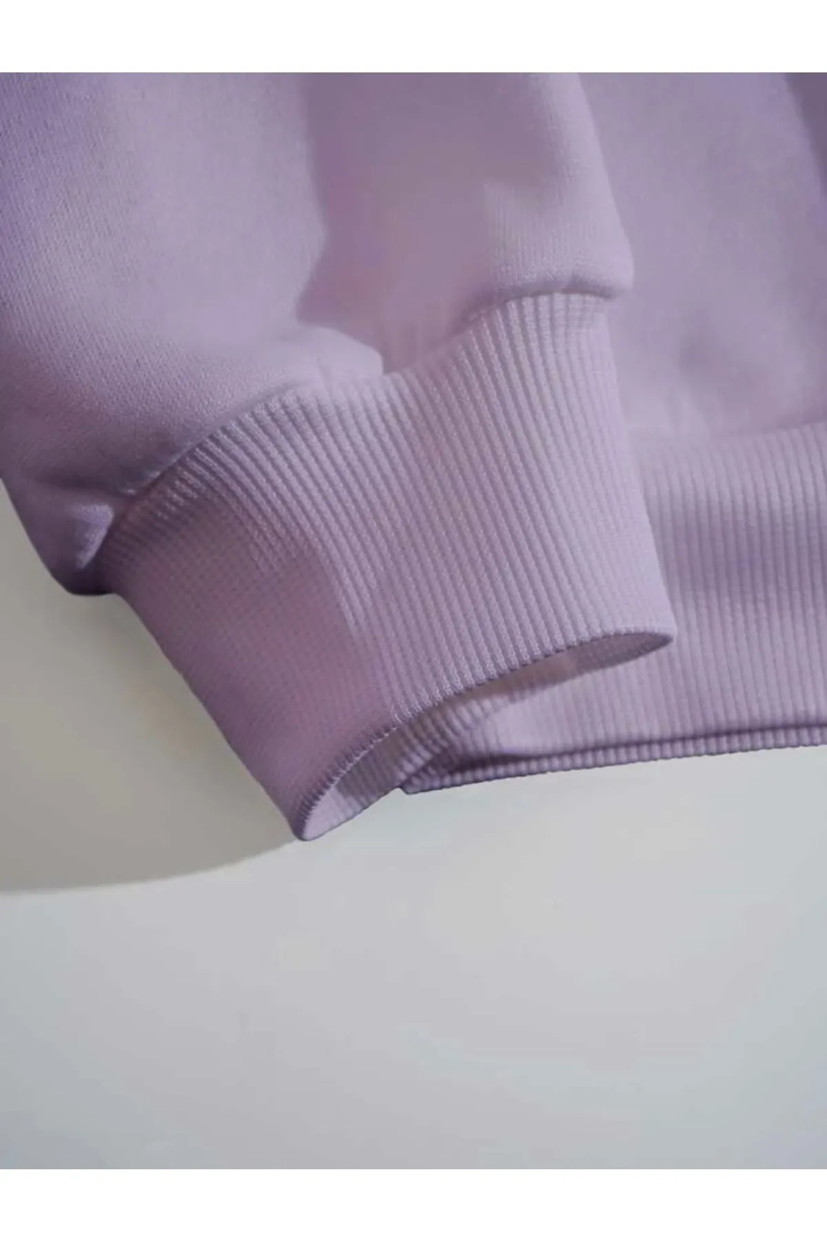 MOONBULL  Sweatshirt - Lila - Regular Fit