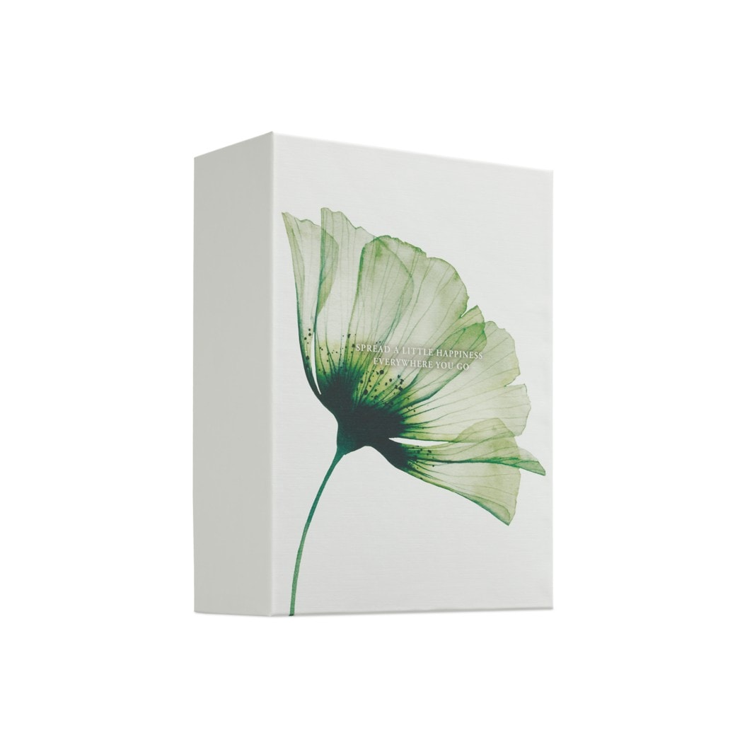 Jujube & Lotus Body Gift Set Large