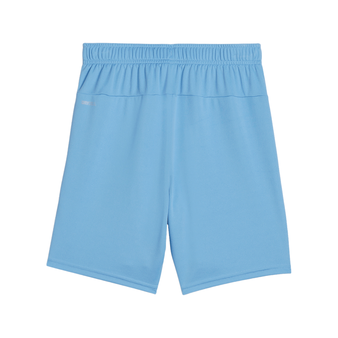 PUMA teamGOAL Short Kids Blau Weiss F18