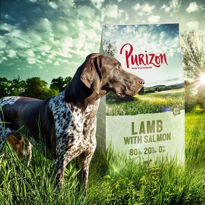 Purizon Lamm mit Lachs Adult - getreidefrei