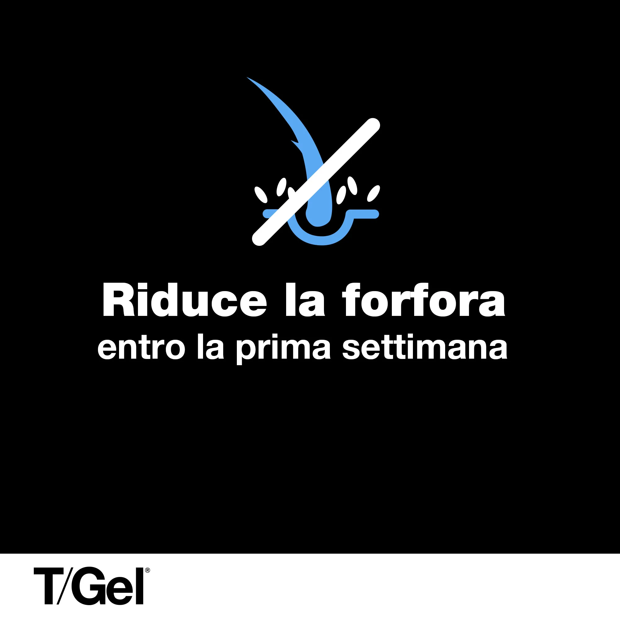 Champú T/Gel Forte para el cuidado del cabello - Champú anticaspa