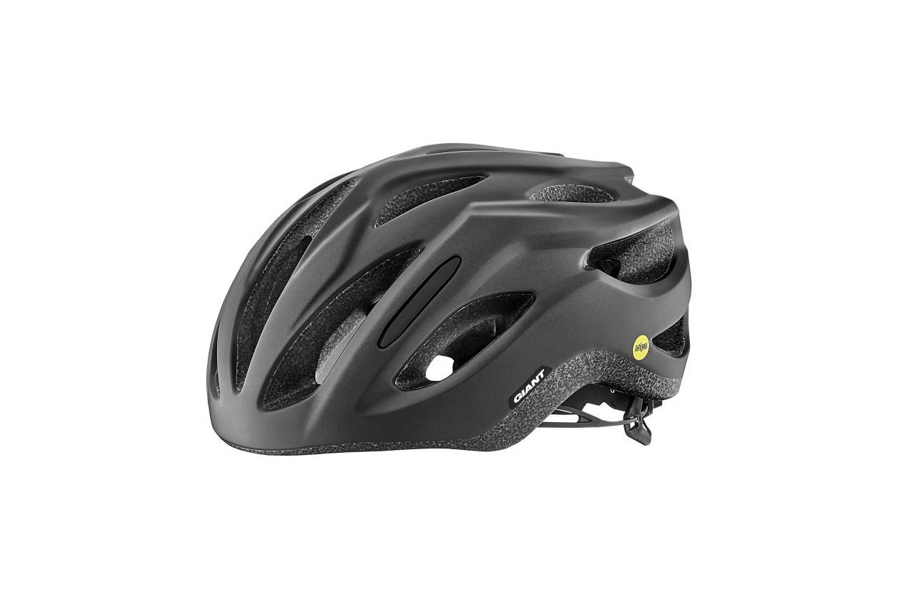 Giant Rev Comp MIPS