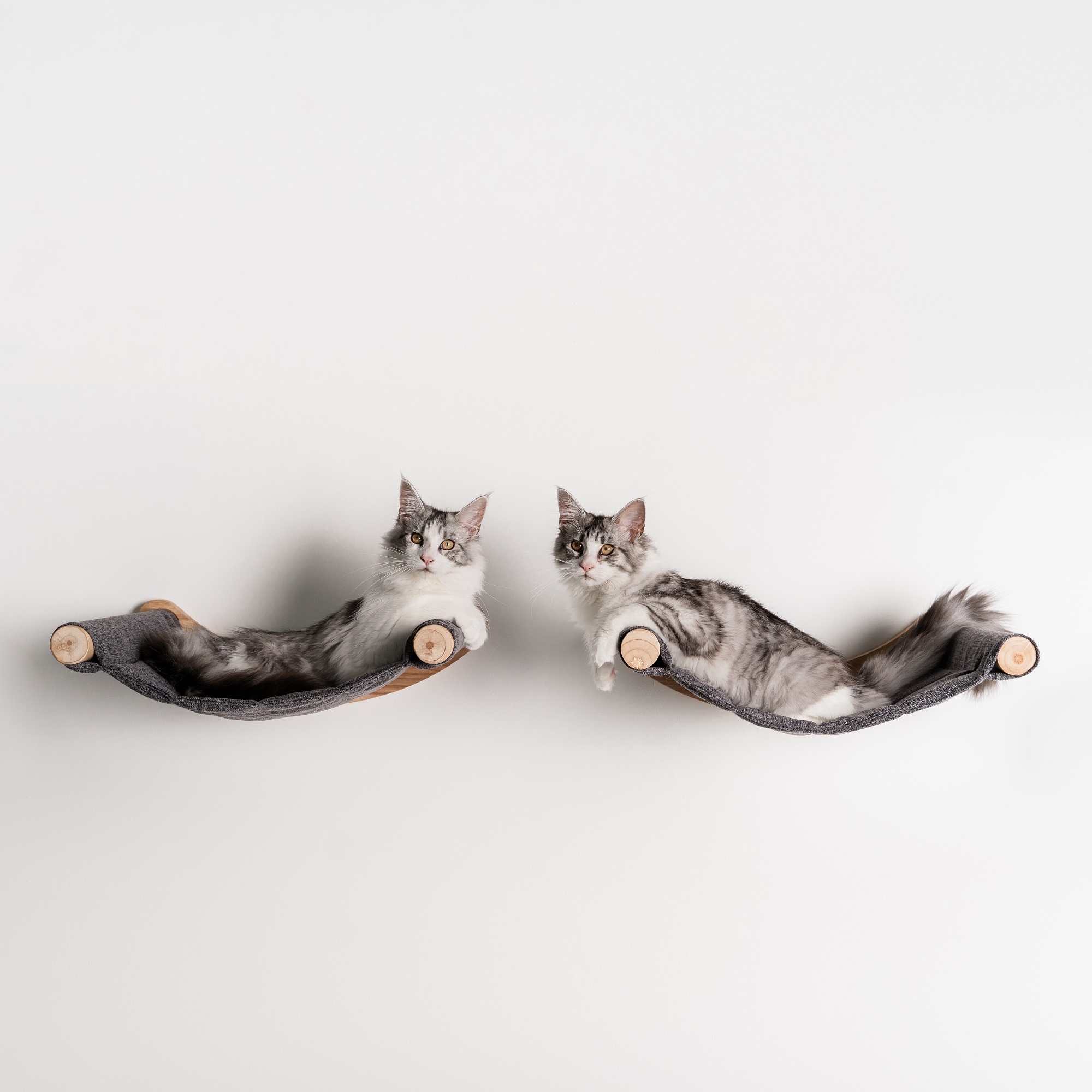 RHR Quality Katzendecken & Katzenmatten RHR Quality Wandmöbel Kletterwand Katze - Hängematte