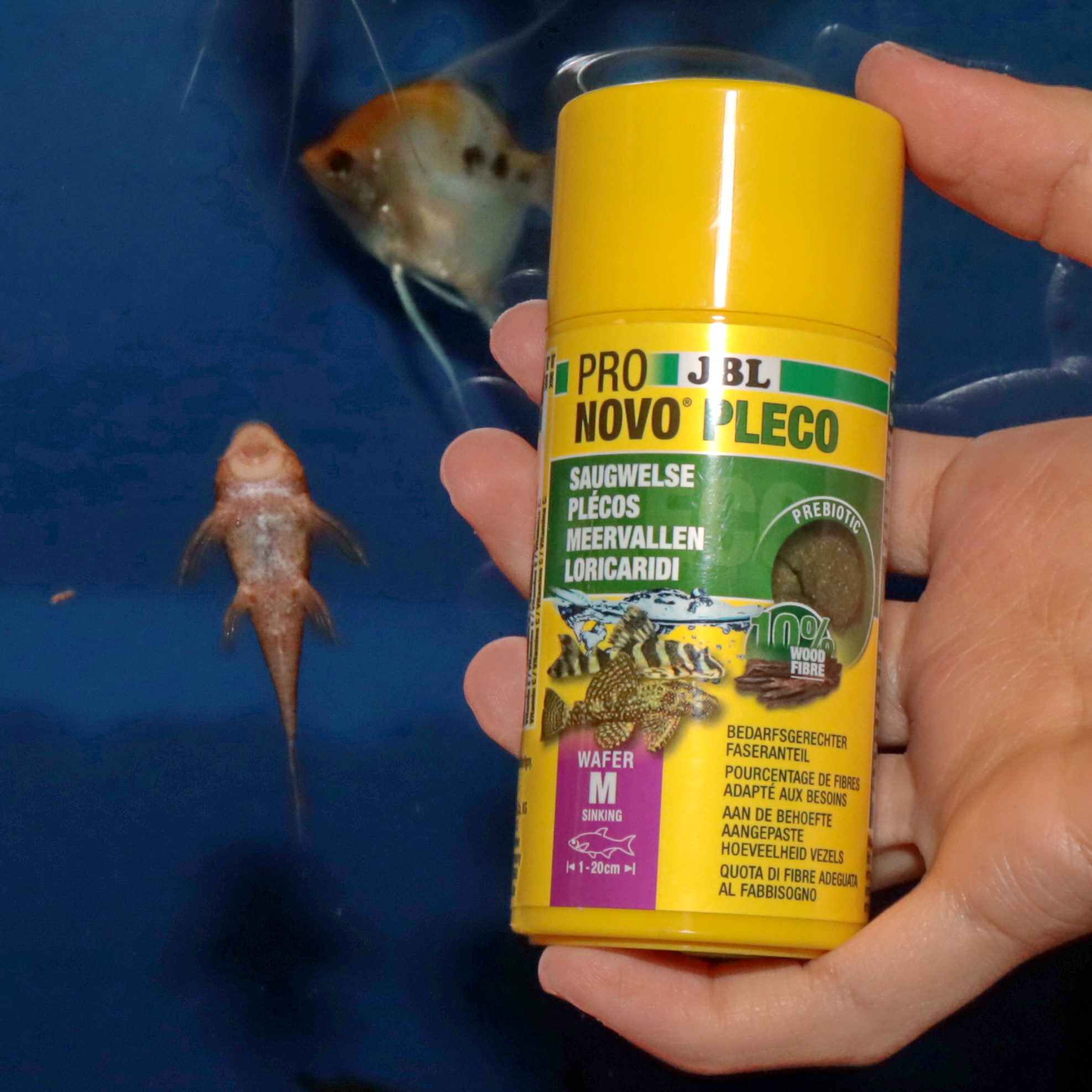 JBL Hauptfutter JBL PRONOVO PLECO WAFER Futtertabletten für herbivore Saugwelse M 100 ml