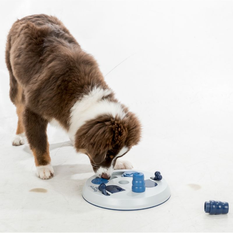 Trixie Intelligenzpielzeug Dog Activity Flip Board