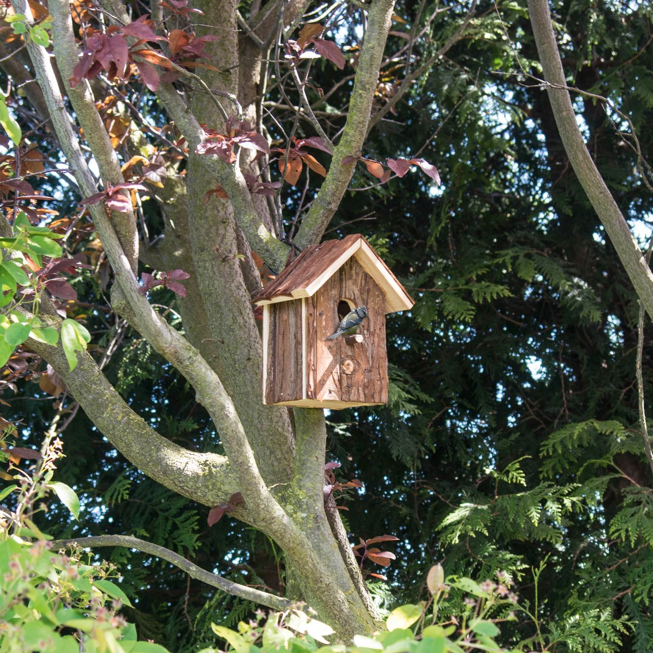 Gardigo Vogelhaus Natur