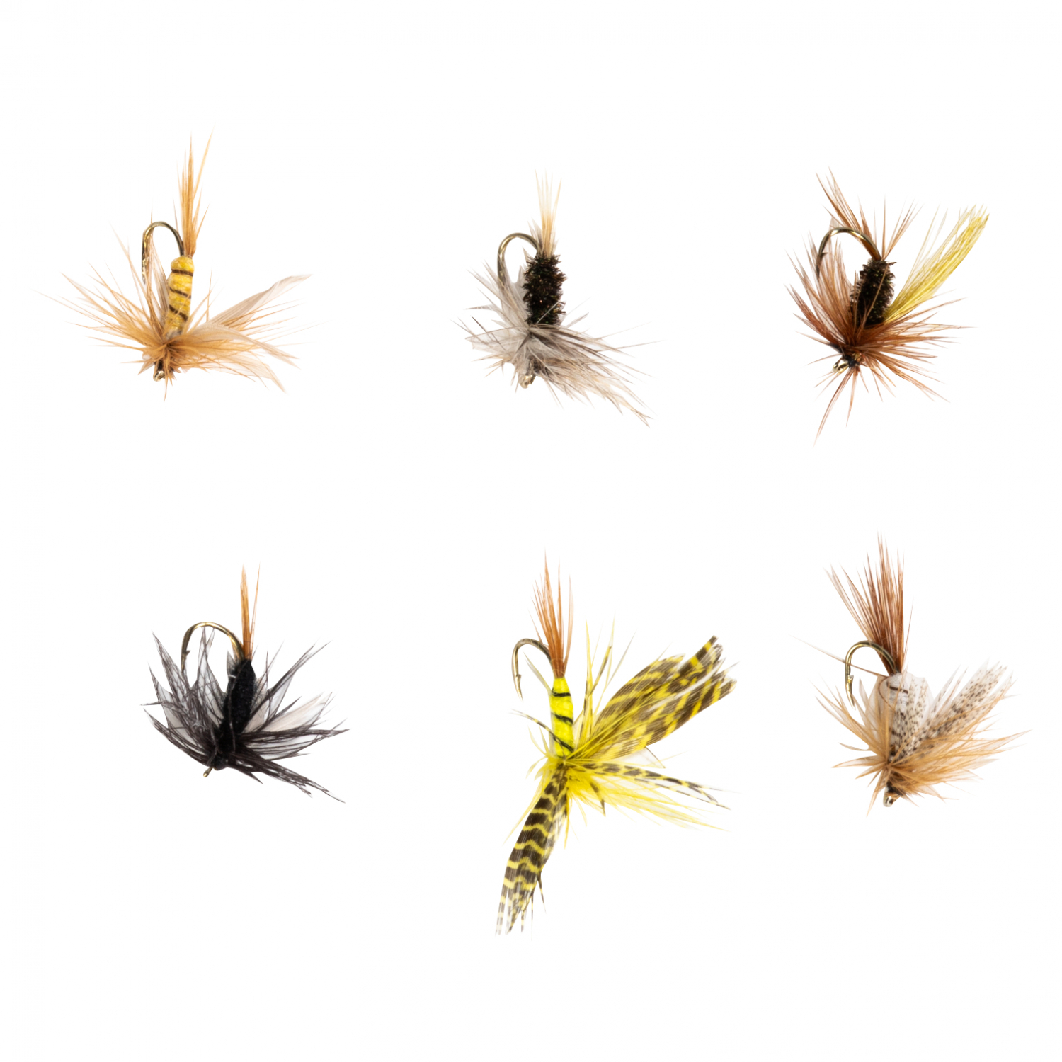 Perca Fly Trockenfliegen Sortiment