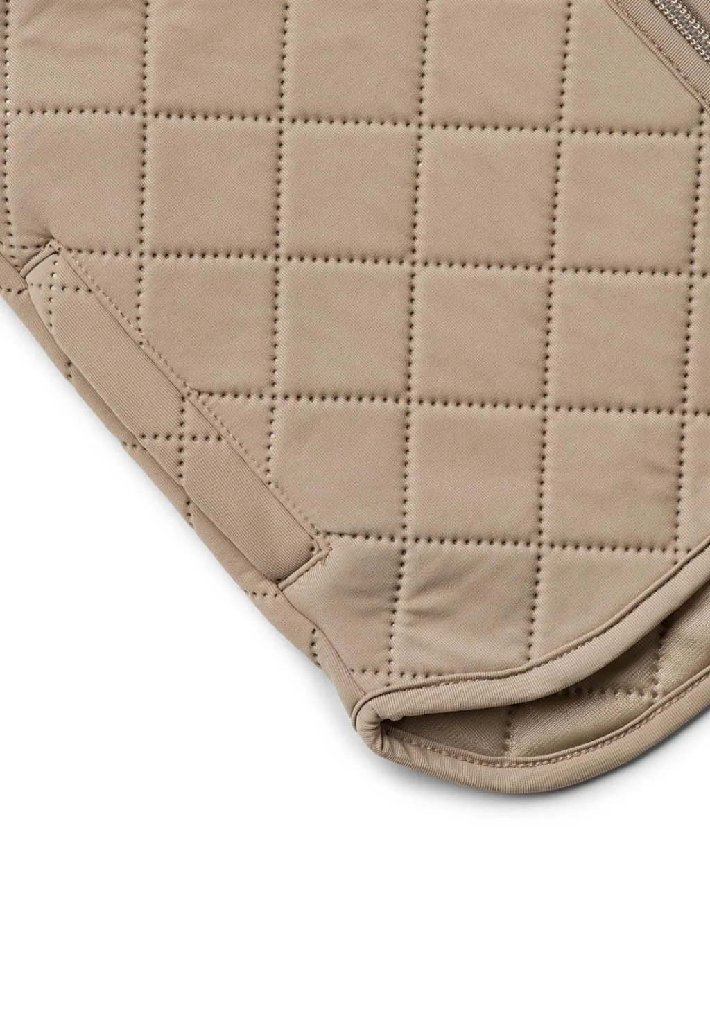 Chaqueta bomber Wheat LOUI