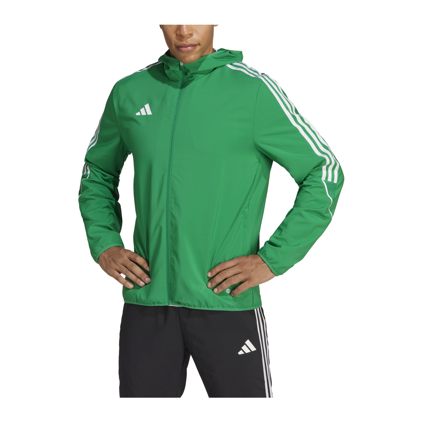 adidas Tiro 23 League Windbreaker Grün
