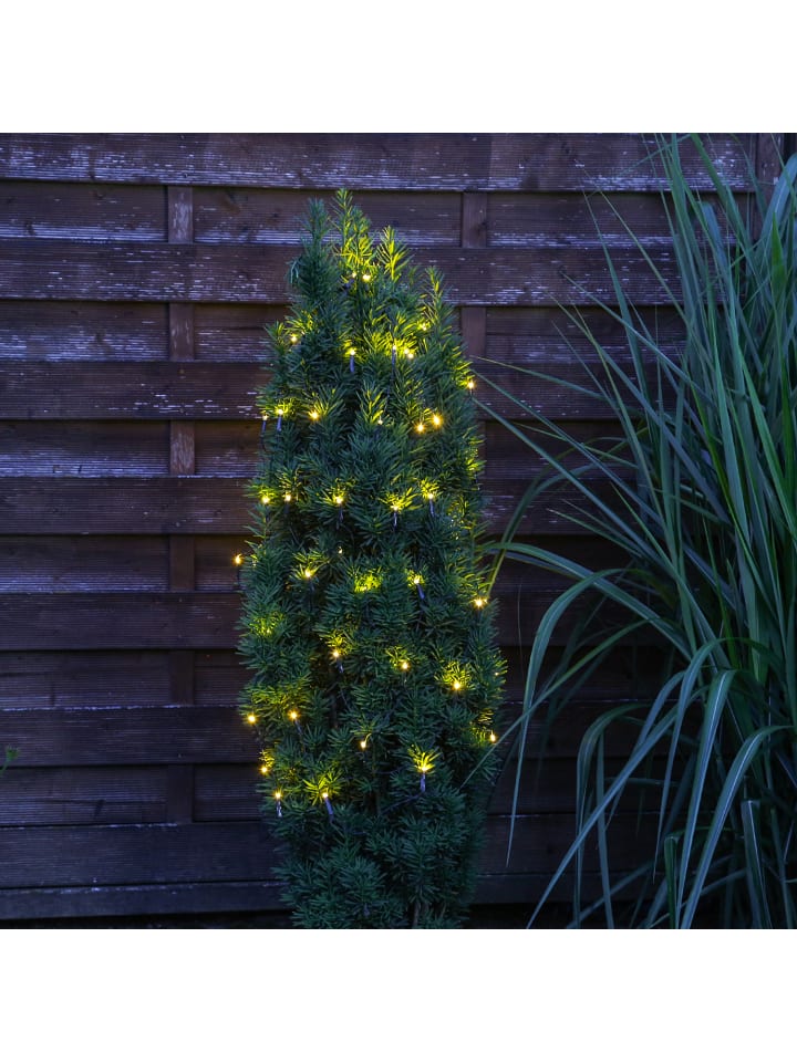 MARELIDA LED Lichternetz für Buchsbaum mit Blinkfunktion D: 50cm in transparent günstig kaufen onesize