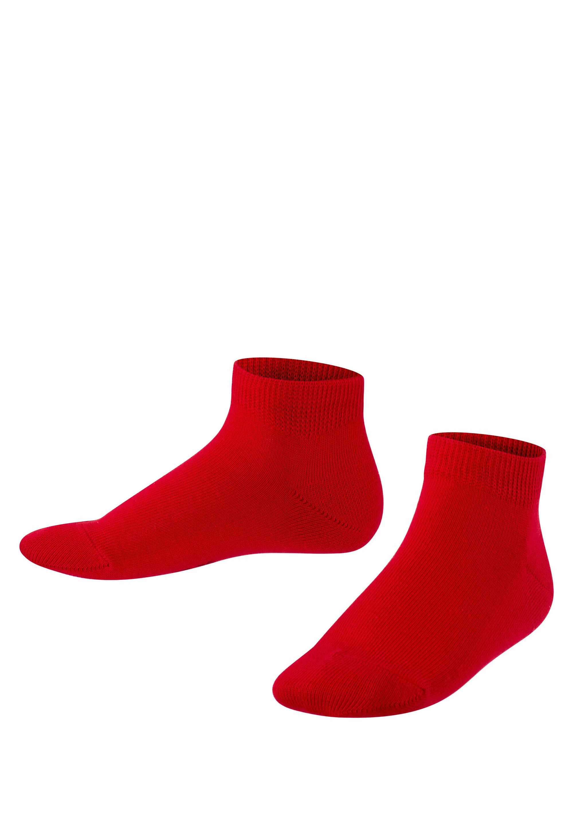 CALCETINES FALKE FAMILY CASUAL PARA TODOS LOS DÍAS - Calcetines