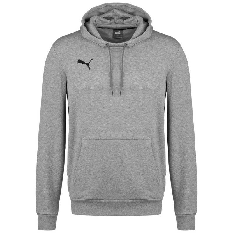 PUMA TeamGoal 23 Casuals Hoodie Herren