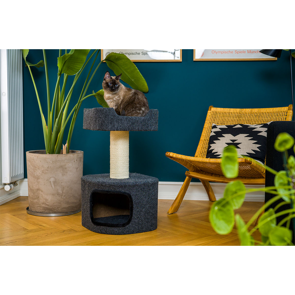 ZooRoyal Kratzbaum Alva 75cm Filz anthrazit kaufen