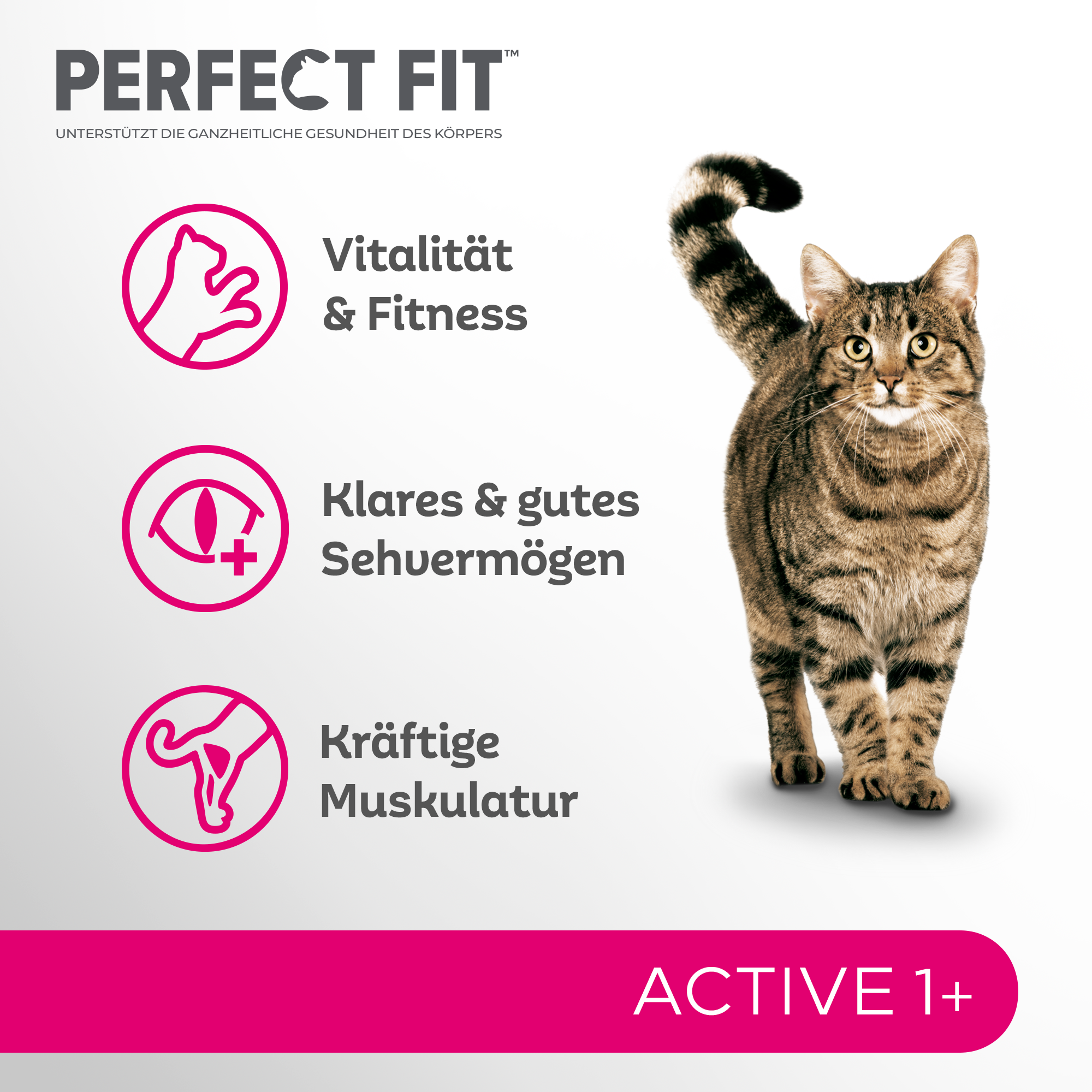 PERFECT FIT Trockenfutter PERFECT FIT Active 1+ mit Rind 6x750 g