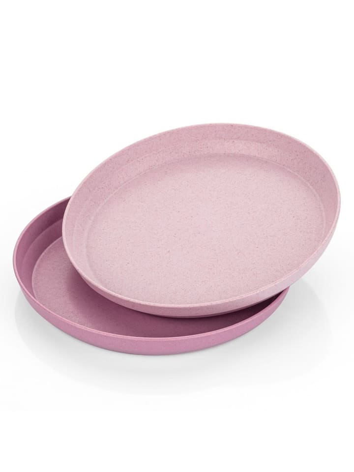 Reer Growing Teller 2er Set in Rosa ab 6 Monate günstig kaufen onesize