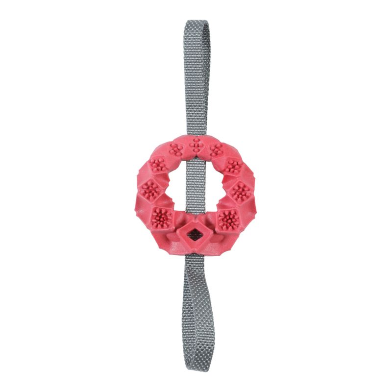 Zolux Outdoor Kau-Ring Terra zu TOP-Preisen