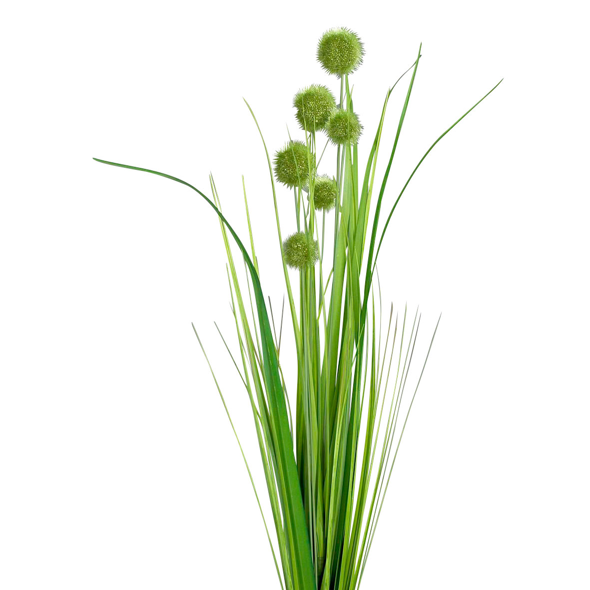 DPIKugelgras 70cm
