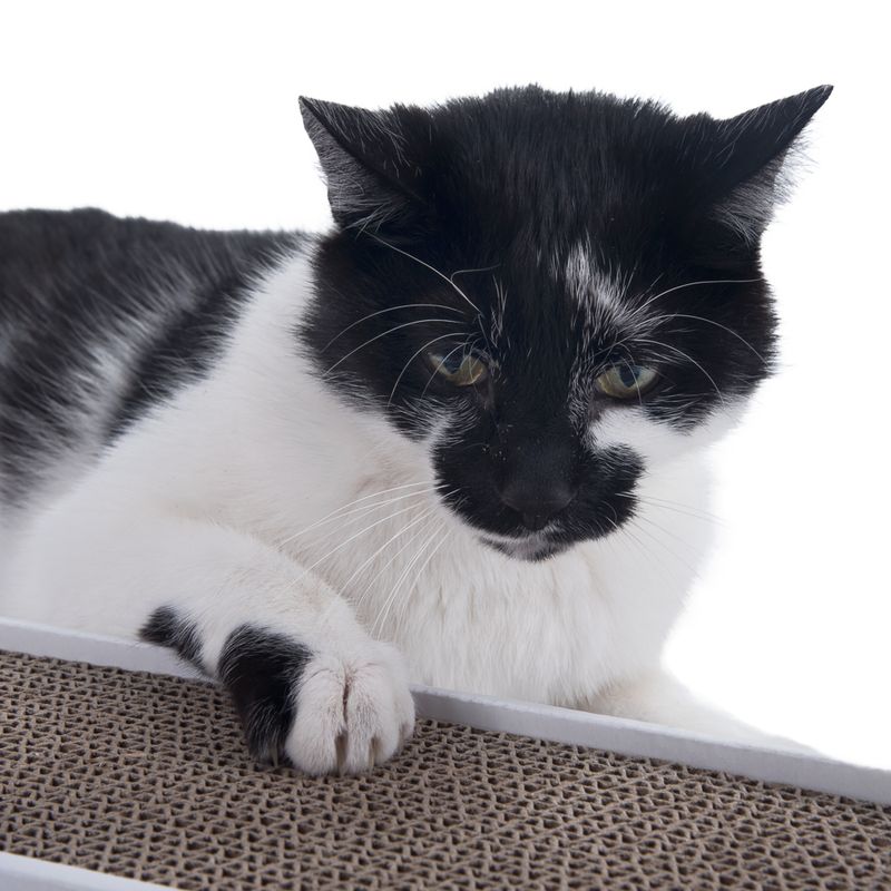 Kratzmatte Multi-Scratch aus Karton zu TOP-Preisen