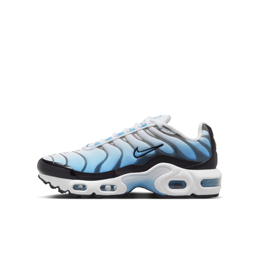 Nike Air Max Plus FD9767-100 / weiss