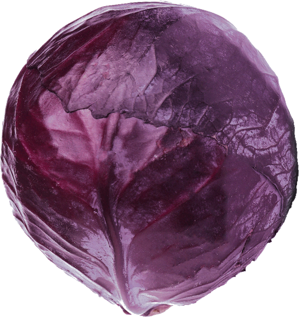 Rotkohl