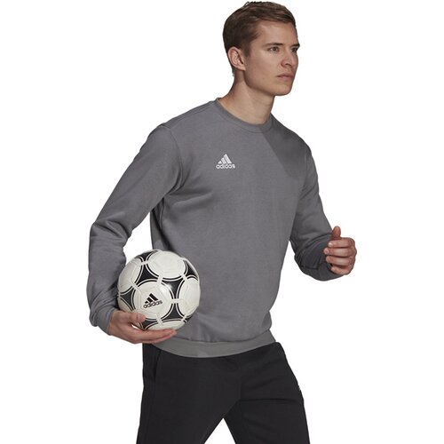 HERREN SWEATSHIRT ENTRADA 22 (NORMAL & LANG)