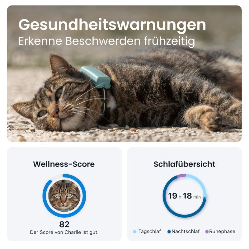 Tractive GPS Tracker für Katzen zu TOP-Preisen