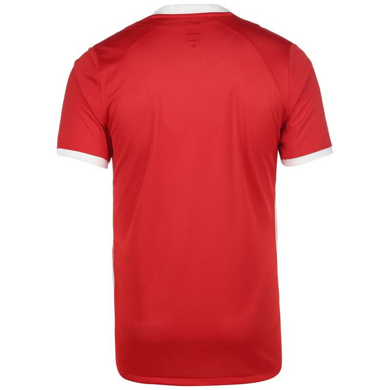Nike Challenge IV Trikot Herren