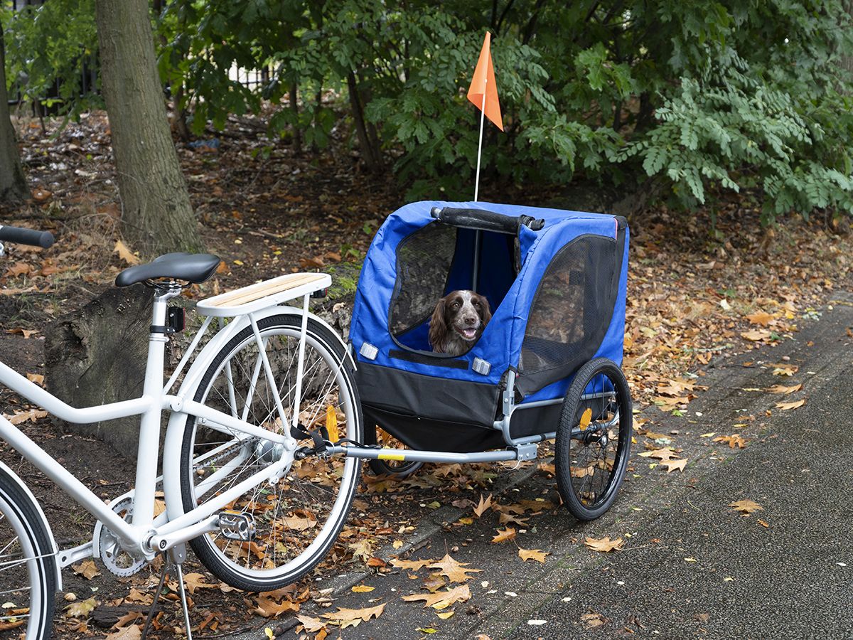 Bicycle Gear Hundefahrradanhänger