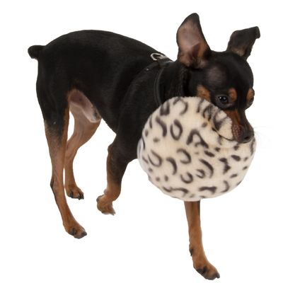Hundespielzeug Dotti aus Plüsch