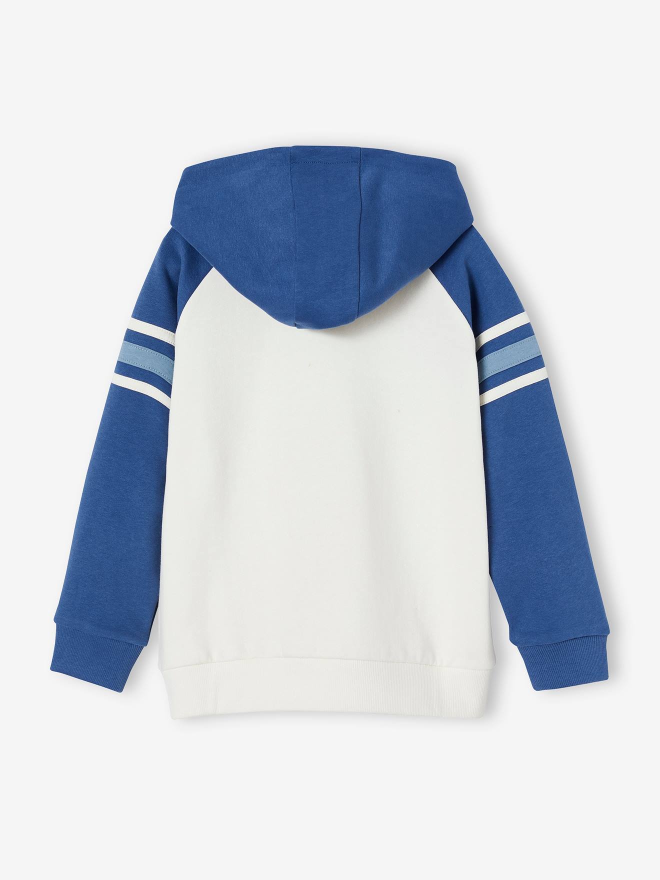 Sweat à capuche animations graphique garçon manches raglan bleu