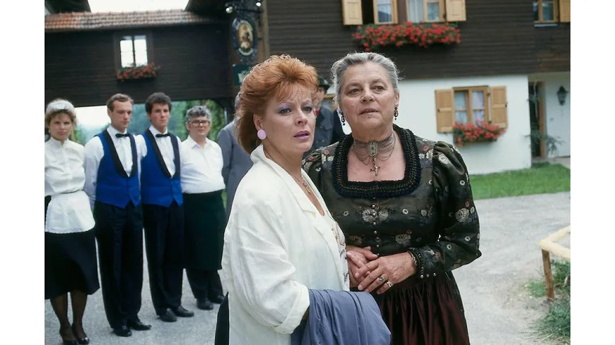Waldhaus - Die komplette ZDF-Serie in 18 Teilen (Fernsehjuwelen)  [6 DVDs]