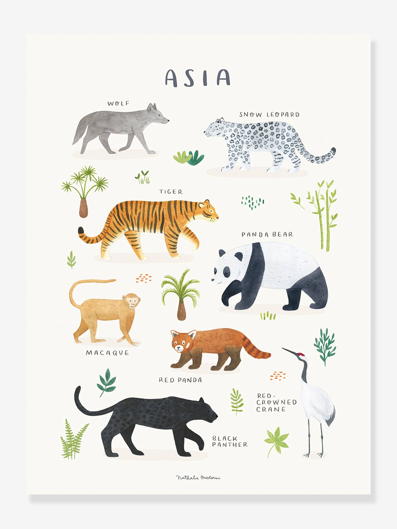 Affiche Animaux d'Asie Living Earth LILIPINSO gris