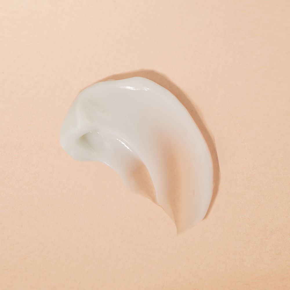 plant apothecary Day Maker: AM Moisturizer Soin hydratant de matin