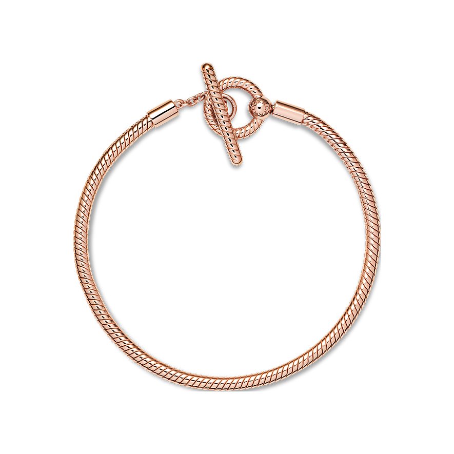 Pandora Armband Moments
