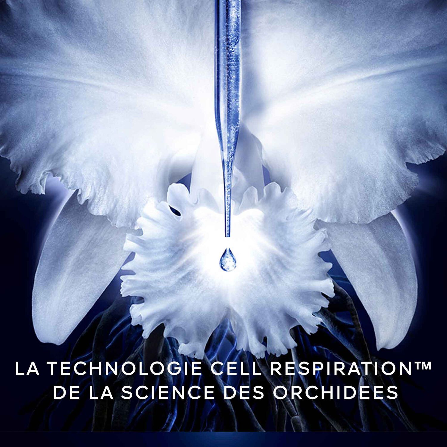 Guerlain Orchidée Impériale Le Concentré de Longévité 50 ml