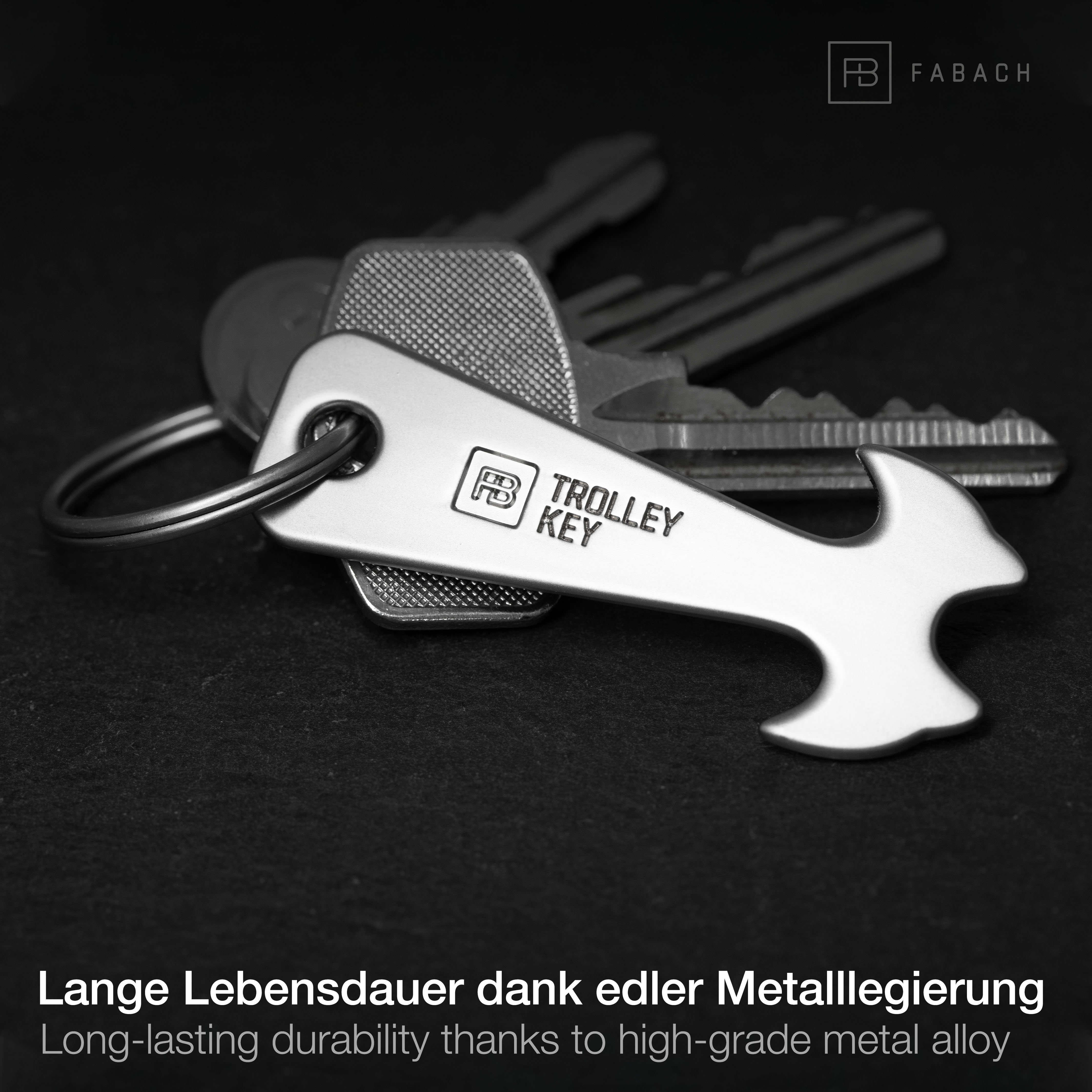 FABACH Schlüsselanhänger Trolley Key Silber Einkaufswagenlöser - Einkaufswagenchip Einkaufschip (2-tlg)